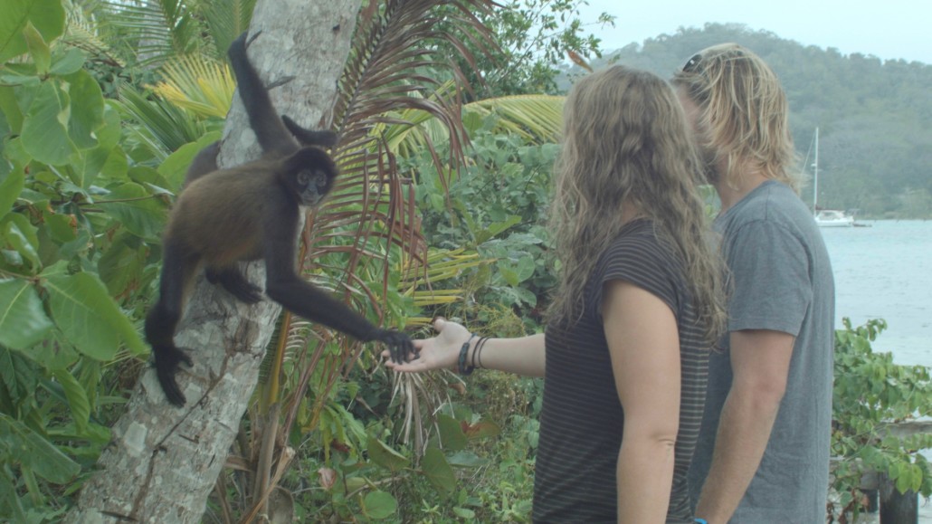 Amanda con monos