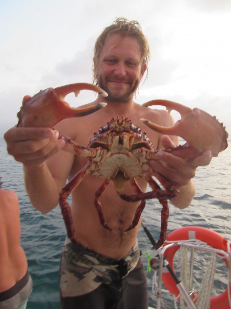 Giant Crabs
